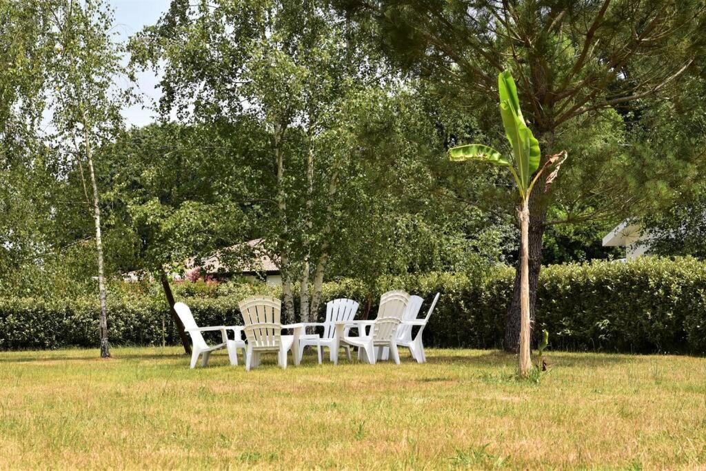 הוילה Bénesse-Maremne Calm House, Swimming Pool And Garden מראה חיצוני תמונה